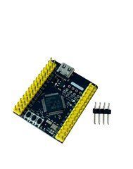 Плата розробки WeAct STM32F411RET6, 100MHz, 128KB RAM, 512KB Flash, USB Type-C,для IoT/роботів
